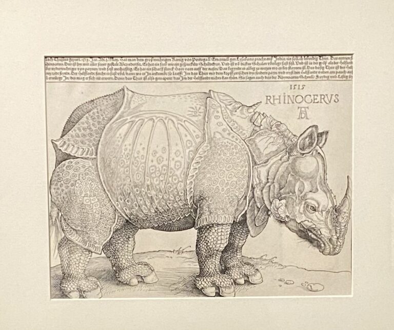 サイ、デューラー、1515年