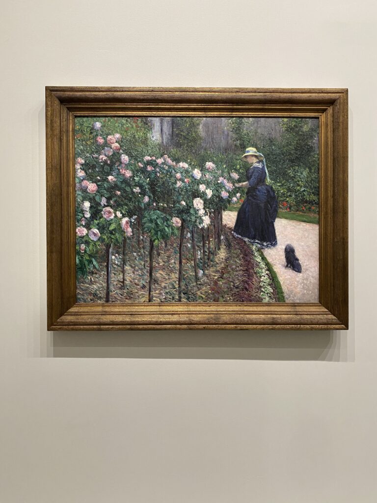 バラ、プチ・ジュヌヴィリエの庭、1886年頃
